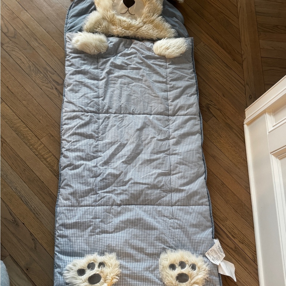 Pottery Barn Kids teddy Bear blue gingham Sleeping Bag preschool sleep mat PBK